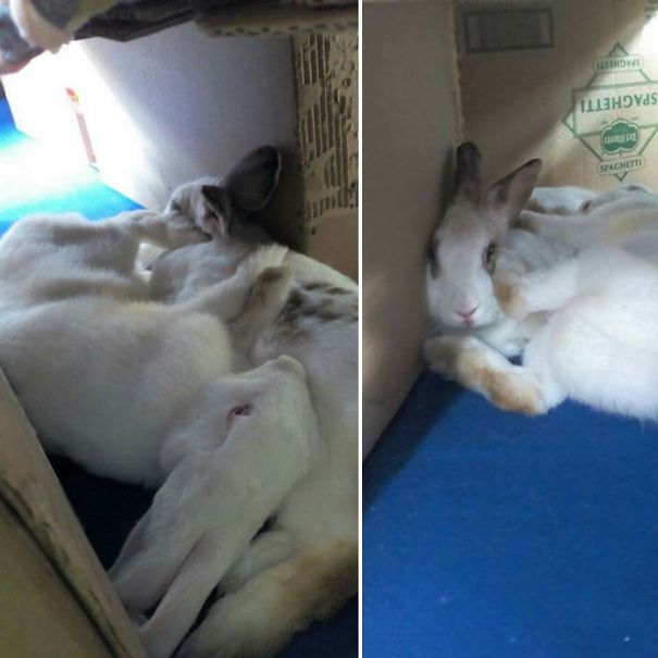 When She Has No Concept Of Personal Space, But Still Love Her