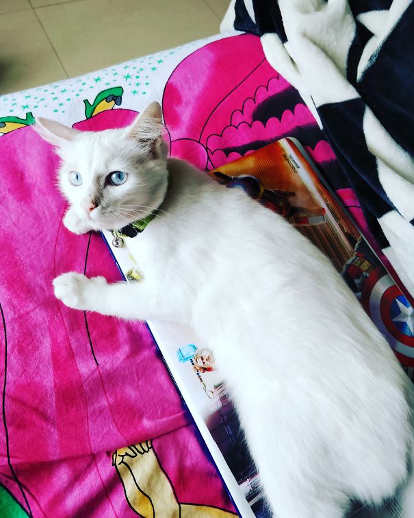 Macbooks Were Made To Rest My Bum.. Go Find Something Else To Work With