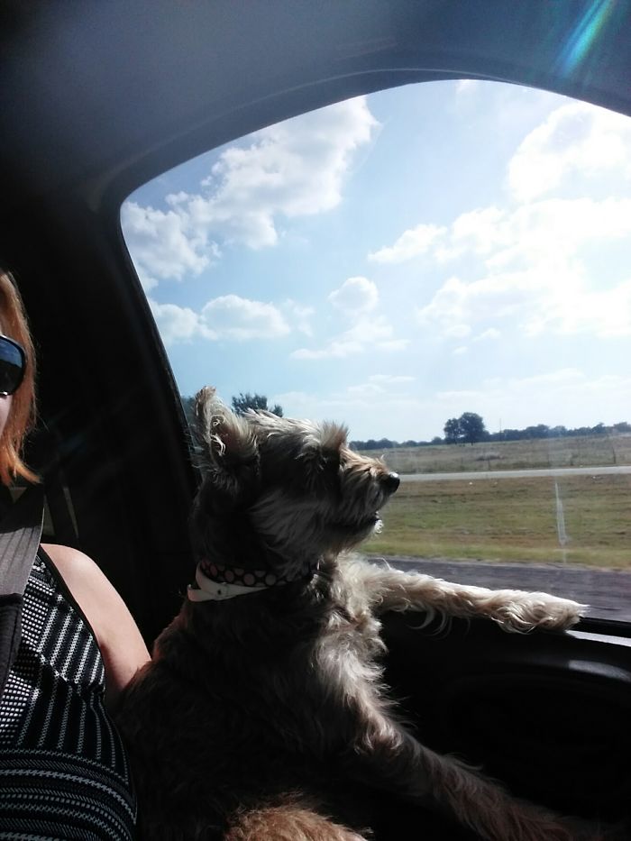 Just Cruising On Our Way Home To Dallas