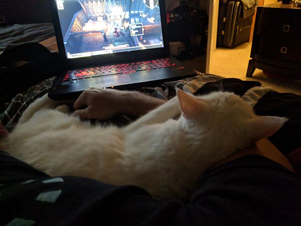 Samus Has Deemed That This Is Now Multiplayer.