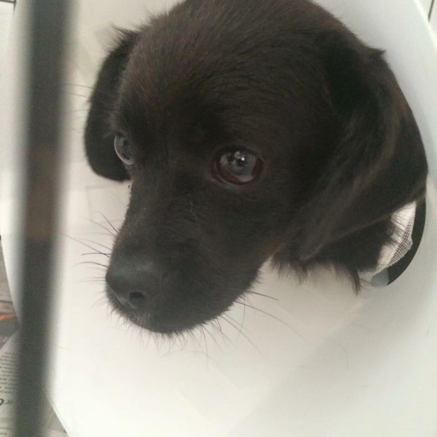 Rescued Days From Dying In Crete