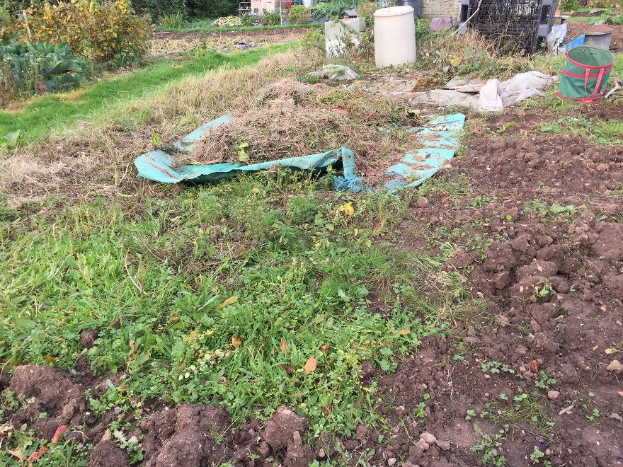 I've Spent 1 Year Growing My Own Beer