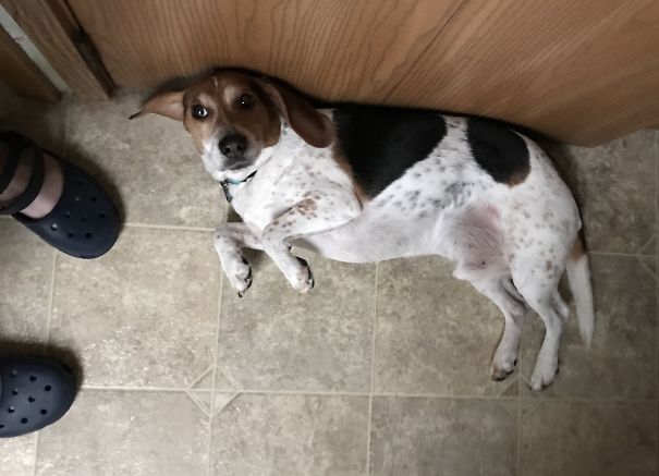 When I Tell Him It's Bath Time....