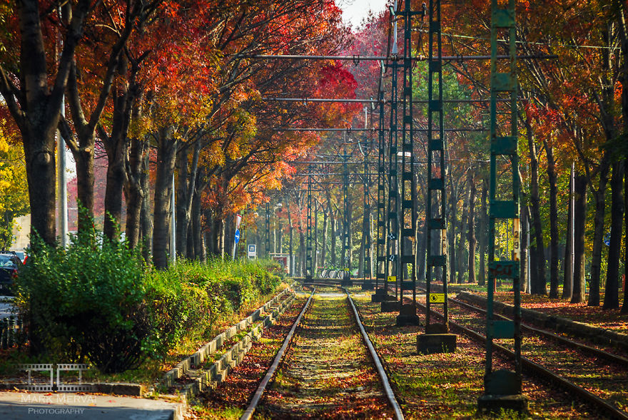 I Capture Places In Budapest During Autumn And The Result Is An Amazing "Game Of Tones"