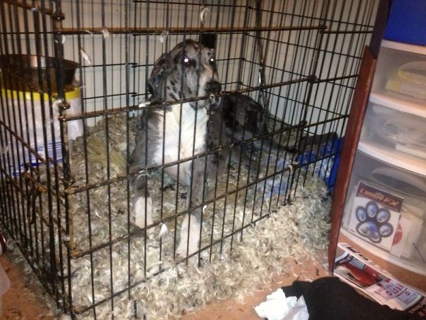 Brought A Guy Home & She Realized She Wasn't Center Of Attention!!!