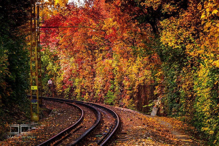 I Capture Places In Budapest During Autumn And The Result Is An Amazing "Game Of Tones"