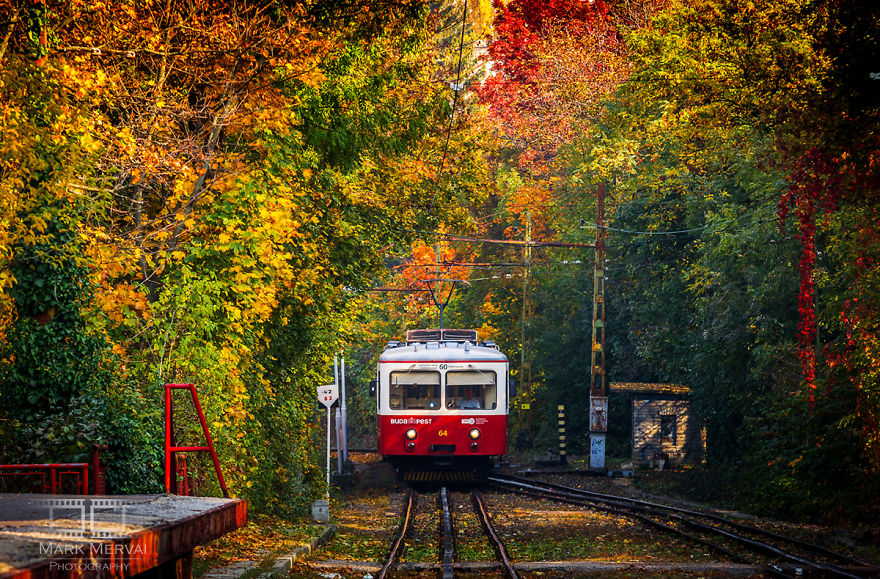I Capture Places In Budapest During Autumn And The Result Is An Amazing "Game Of Tones"