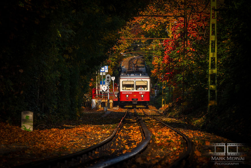 I Capture Places In Budapest During Autumn And The Result Is An Amazing "Game Of Tones"