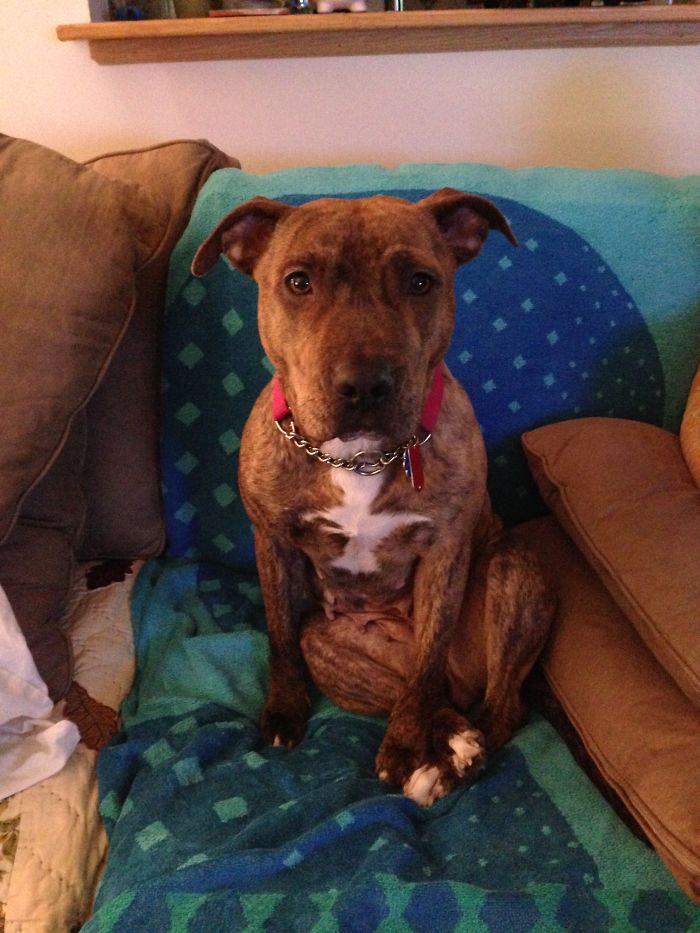 Lilly Sitting Like A Lady.