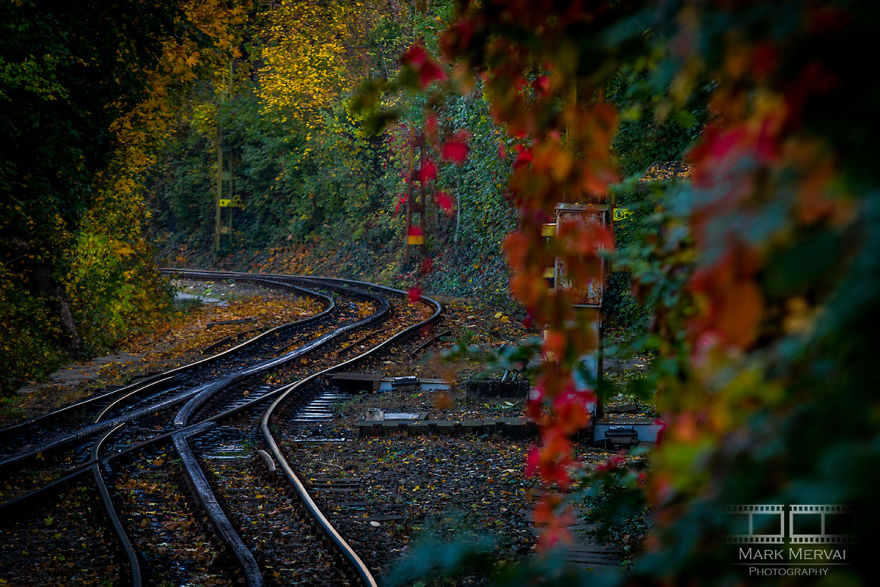I Capture Places In Budapest During Autumn And The Result Is An Amazing "Game Of Tones"