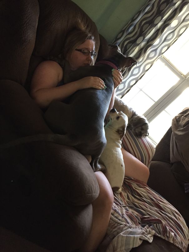 Lilly Always Has To Lay On Something Or Someone. Her Butt Never Touched The Floor!💜