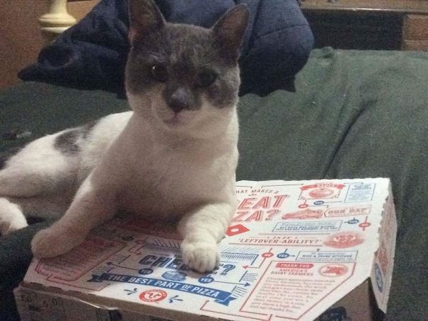 Was That Yours? My Bad.