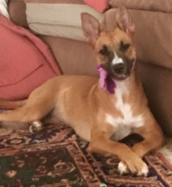 Are Those My Undies ?! This Was Her Response