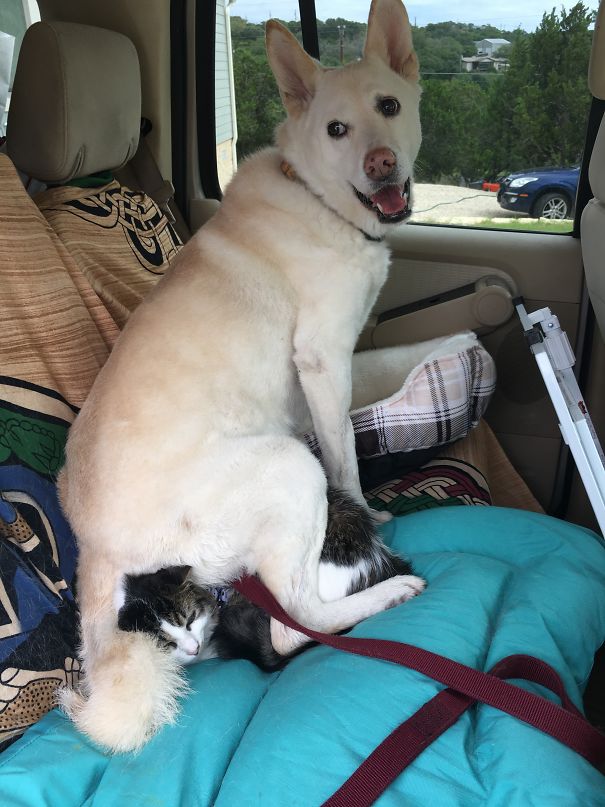 All I Can Say Is I'm Glad They Like Each Other!