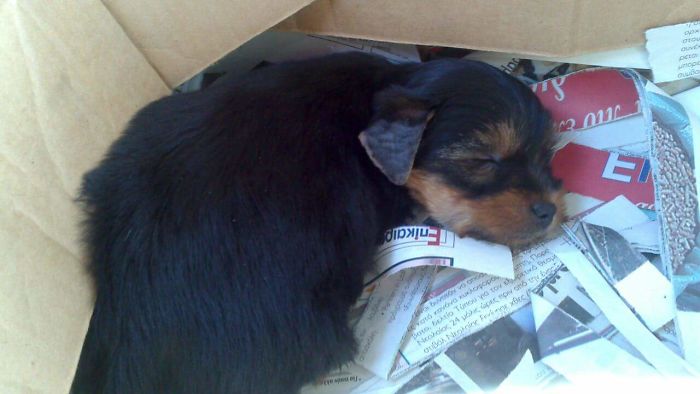 My Beautiful Baby Six Years Ago... Little Thor!! Love Him To Death 