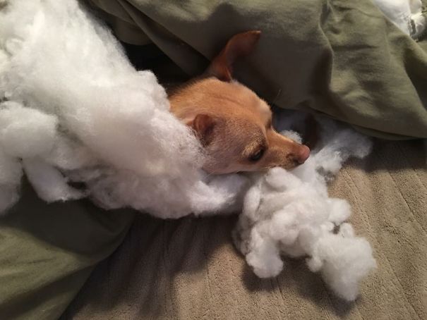 This Is Why We Can't Have Nice Things, People!