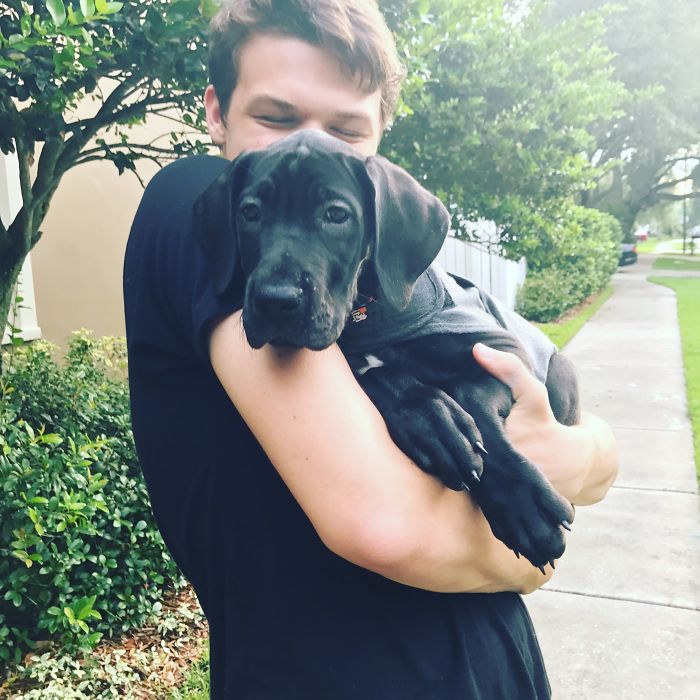 Bringing Home Our Bella! Happiness Is A Warm Puppy.