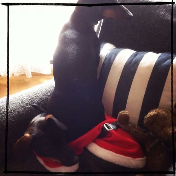 All I Want For Christmas Is...