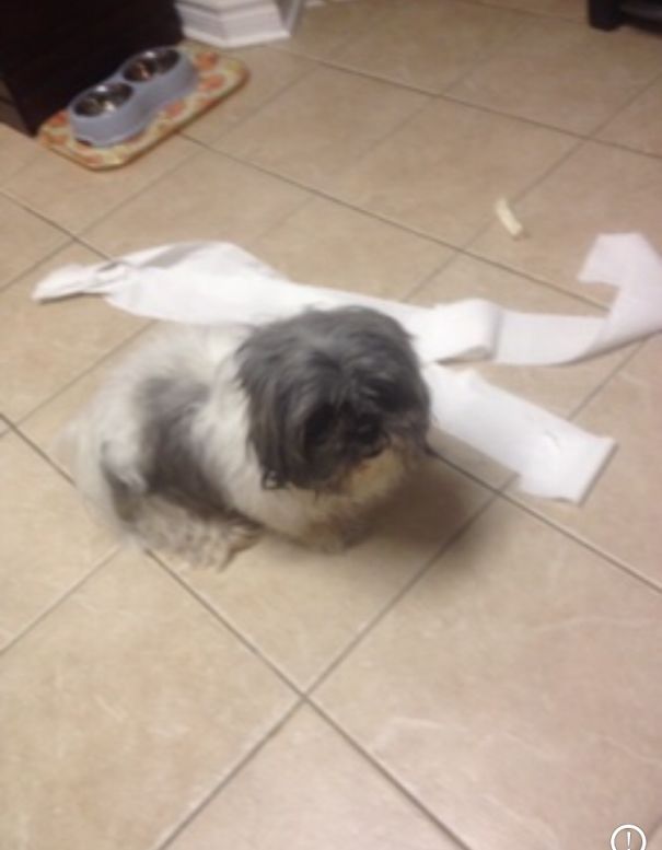 1 Of 3 - It Wasn't Me