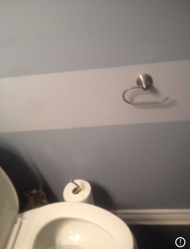 2 Of 3 - Look For The Asshole Cat