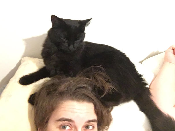 Havoc Not Letting Me Sleep In Until He Gets Fed