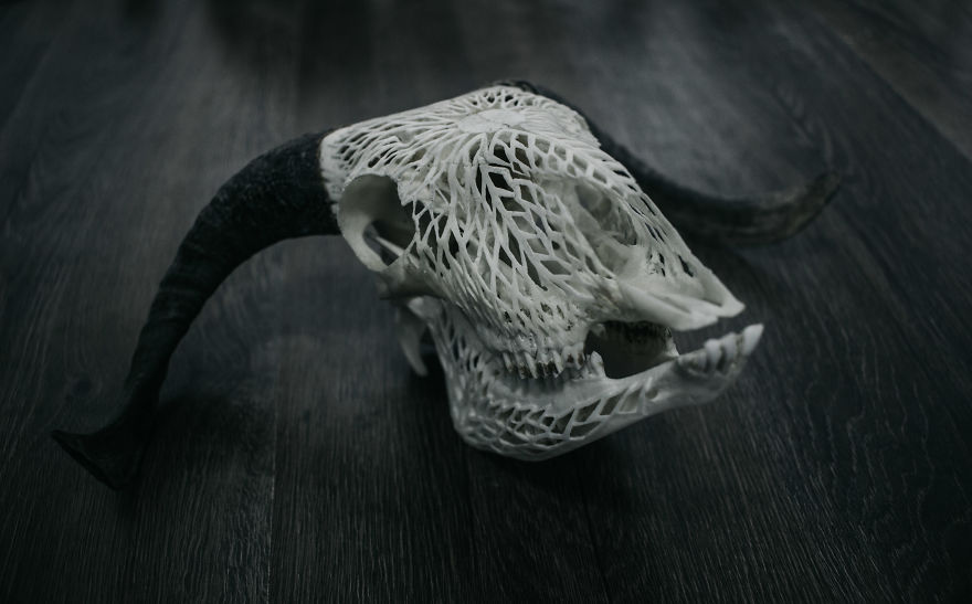 After Being Arrested For Drugs This Man Started Carving Skulls And Turned His Life Around