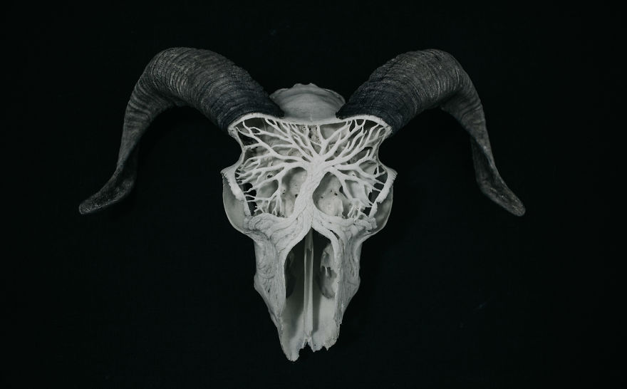 After Being Arrested For Drugs This Man Started Carving Skulls And Turned His Life Around