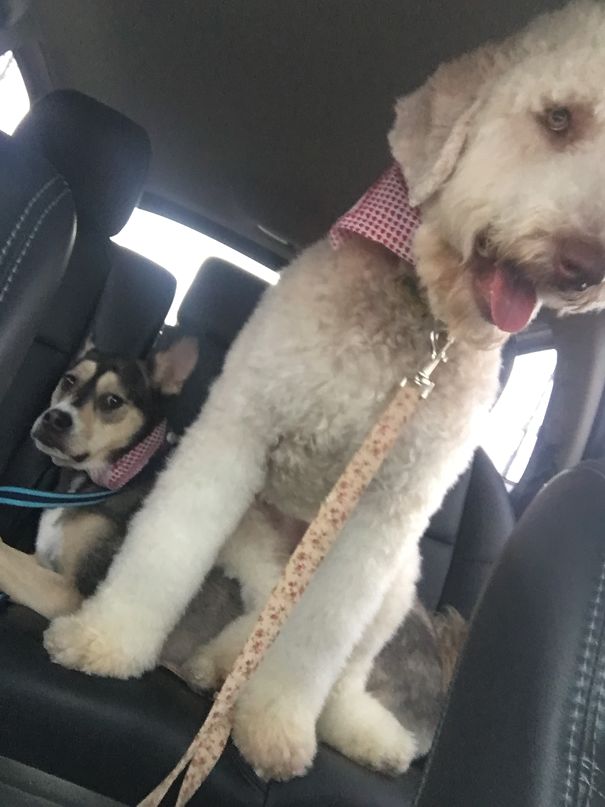 That Looks Like A Comfy Place To Sit