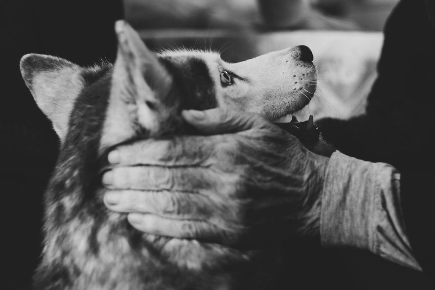 We Followed Local Canistherapy Center Team To Senior Foster Homes And Children Hospitals For Two Years To Document People Emotions We Followed Local Canistherapy Center Team To Senior Foster Homes And Children Hospitals For Two Years To Document People Emotions
