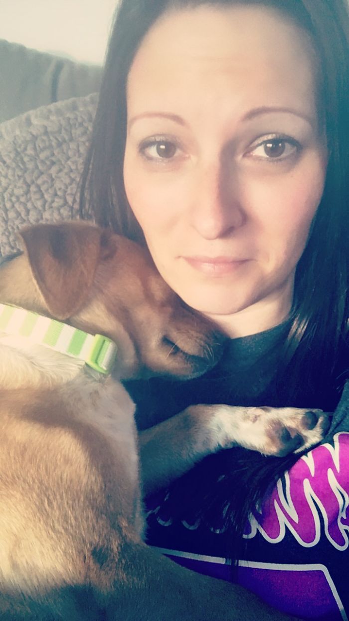 My Tx>mn Rescue Chiweenie Shortly After Foster Mom Left. Welcome To Snow Orin!