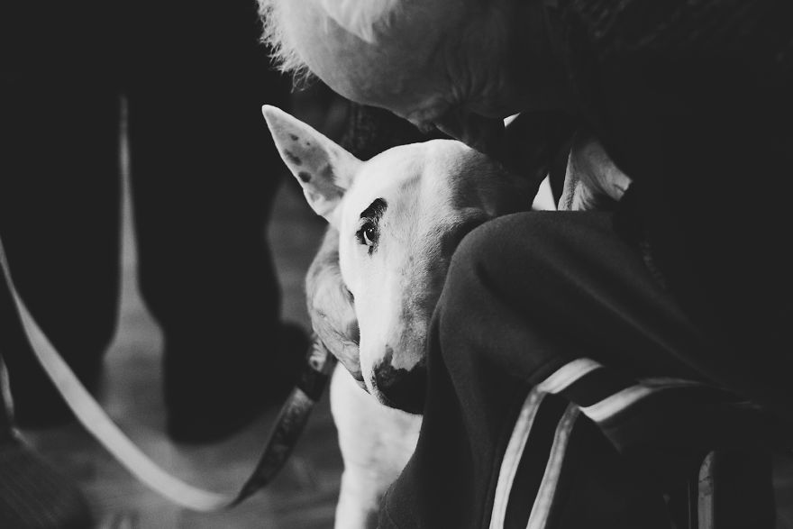 We Followed Local Canistherapy Center Team To Senior Foster Homes And Children Hospitals For Two Years To Document People Emotions