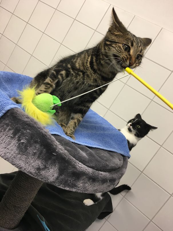 Did Not Taste As Good As She Tought