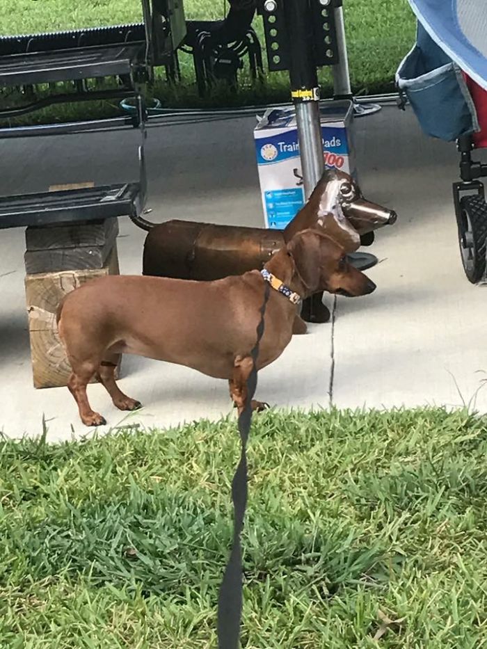 My Little Lilly 2 Years Old😊❤️