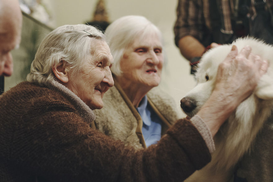 We Followed Local Canistherapy Center Team To Senior Foster Homes And Children Hospitals For Two Years To Document People Emotions