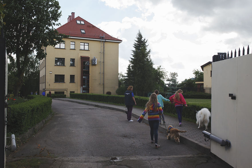 We Followed Local Canistherapy Center Team To Senior Foster Homes And Children Hospitals For Two Years To Document People Emotions