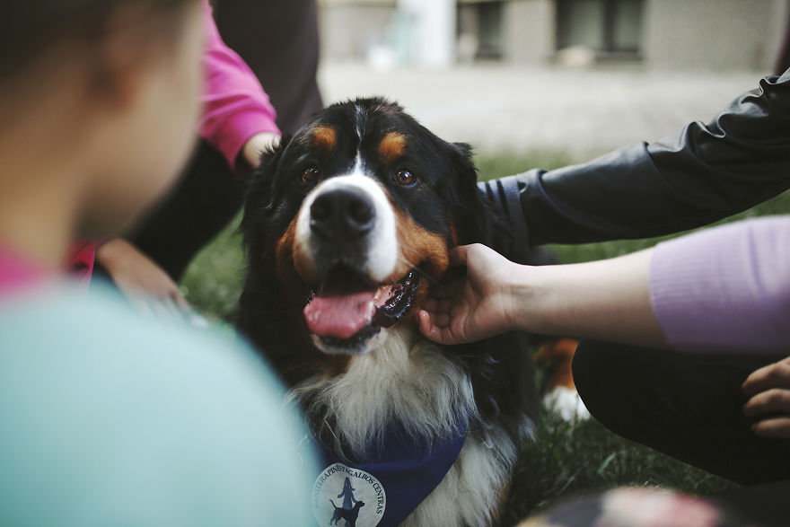 We Followed Local Canistherapy Center Team To Senior Foster Homes And Children Hospitals For Two Years To Document People Emotions We Followed Local Canistherapy Center Team To Senior Foster Homes And Children Hospitals For Two Years To Document People Emotions