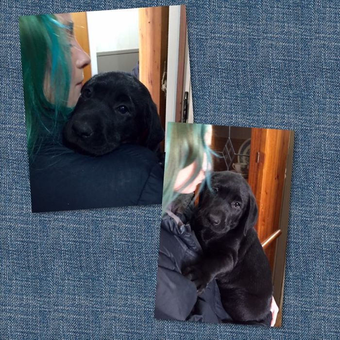 They Chose Each Other For Life Xx