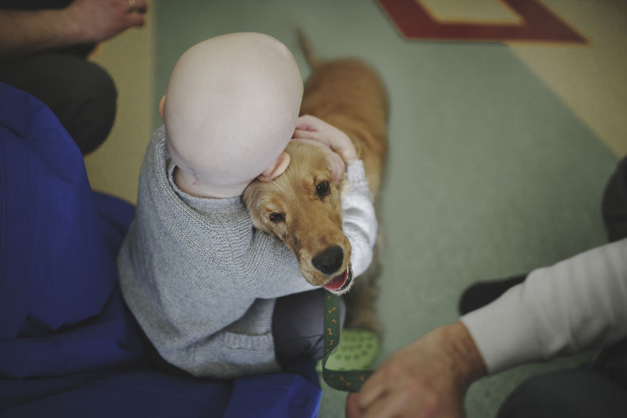 We Followed Local Canistherapy Center Team To Senior Foster Homes And Children Hospitals For Two Years To Document People Emotions We Followed Local Canistherapy Center Team To Senior Foster Homes And Children Hospitals For Two Years To Document People Emotions