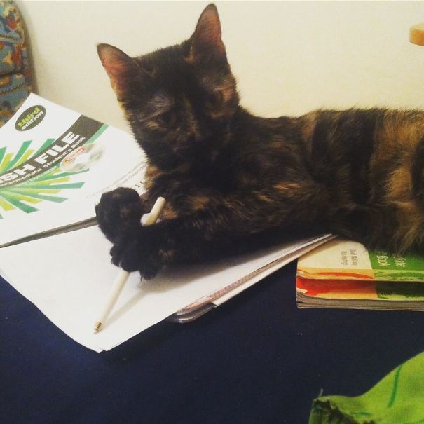 Rosalinda Bleach Stole My Pen!