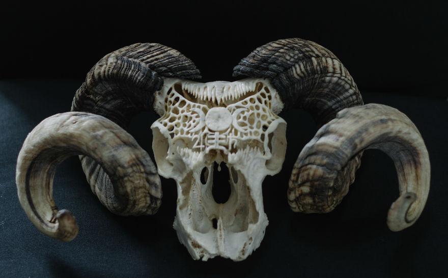 After Being Arrested For Drugs This Man Started Carving Skulls And Turned His Life Around