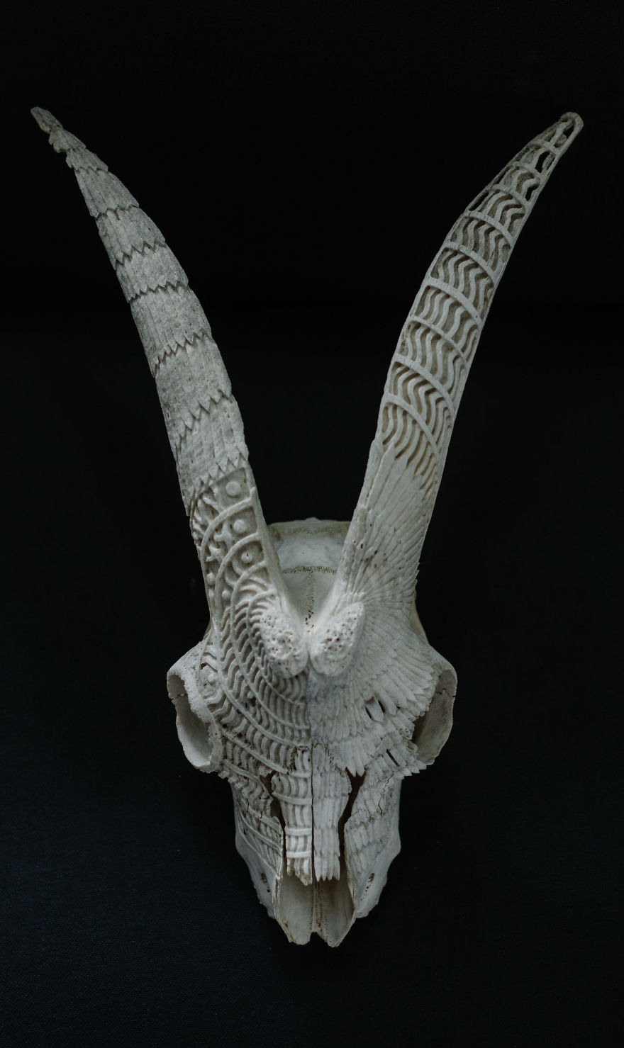 After Being Arrested For Drugs This Man Started Carving Skulls And Turned His Life Around After Being Arrested For Drugs This Man Started Carving Skulls And Turned His Life Around