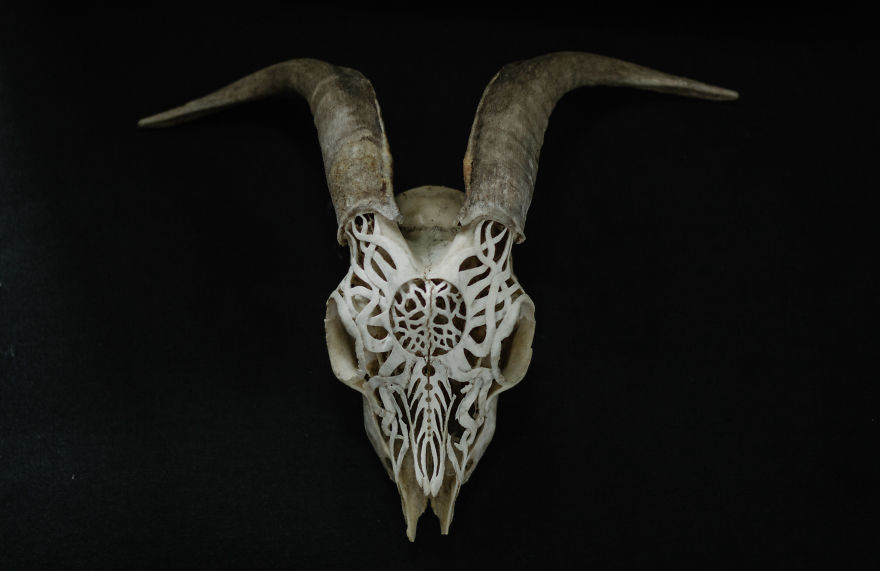 After Being Arrested For Drugs This Man Started Carving Skulls And Turned His Life Around