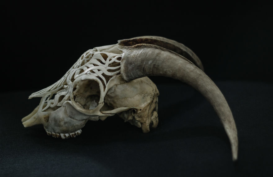 After Being Arrested For Drugs This Man Started Carving Skulls And Turned His Life Around