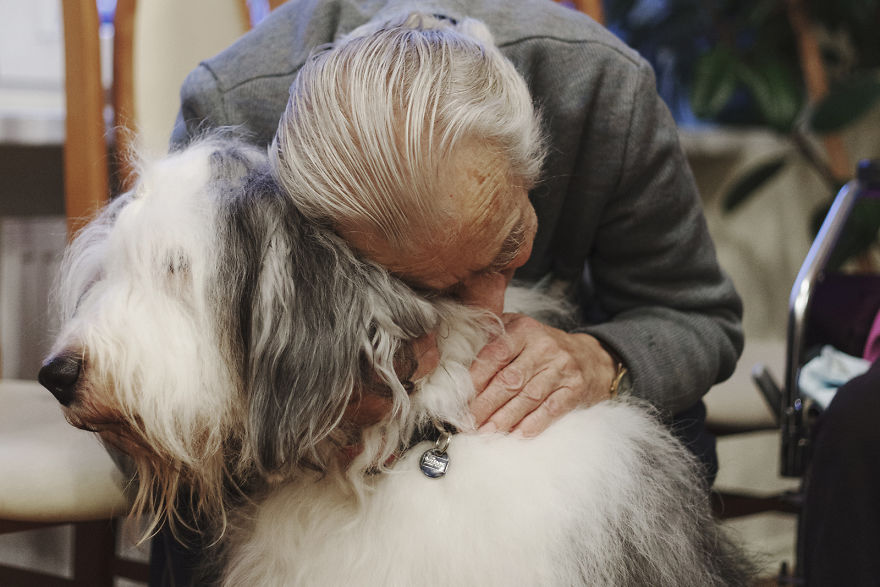 We Followed Local Canistherapy Center Team To Senior Foster Homes And Children Hospitals For Two Years To Document People Emotions We Followed Local Canistherapy Center Team To Senior Foster Homes And Children Hospitals For Two Years To Document People Emotions