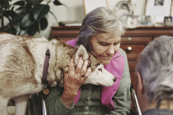 We Followed Local Canistherapy Center Team To Senior Foster Homes And Children Hospitals For Two Years To Document People Emotions