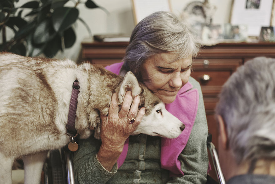 We Followed Local Canistherapy Center Team To Senior Foster Homes And Children Hospitals For Two Years To Document People Emotions We Followed Local Canistherapy Center Team To Senior Foster Homes And Children Hospitals For Two Years To Document People Emotions