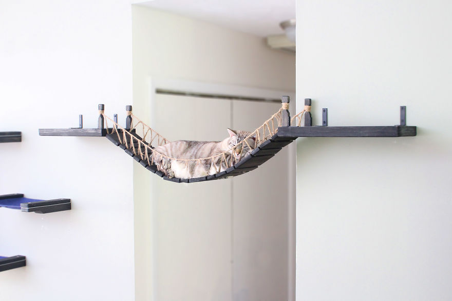 We Created An Indiana Jones Bridge For Our Cat We Created An Indiana Jones Bridge For Our Cat