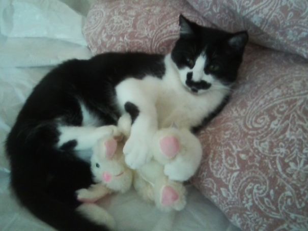 Jojo Manhandling A Helpless Bunny!