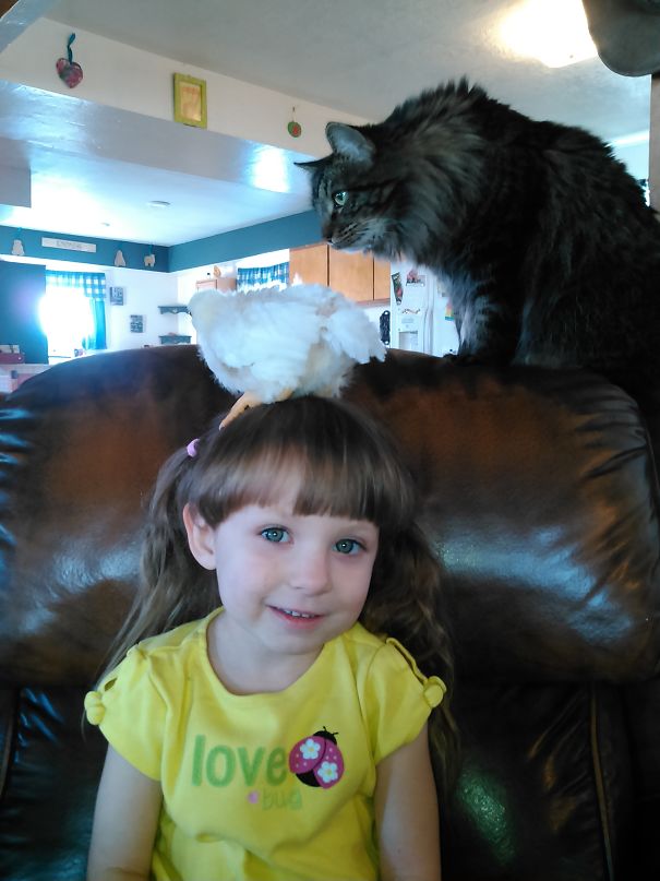 My Daughter So Excited That The Chick Hopped On Her Head. If She Only Knew...