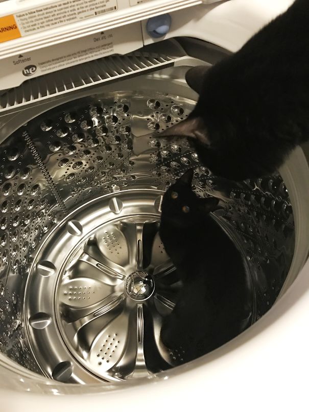 What? I Just Touched Him, And He Fell!